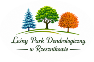 Leśny Park Dendrologiczny w Rzesznikowie